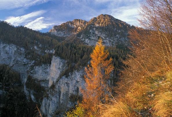 Monti In Autunno 