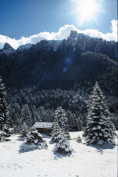 Paesaggio Neve 